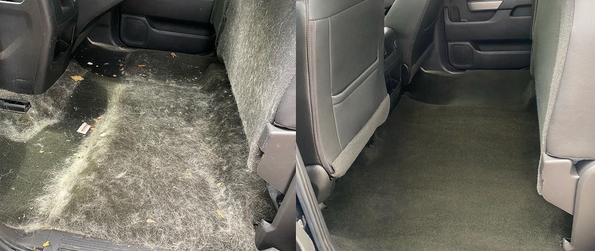 Pet Hair/Sand Removal